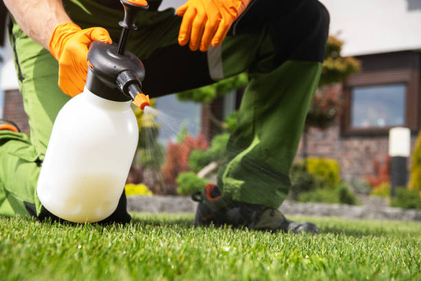 Best Best Pest Control Companies  in Middleton, WI