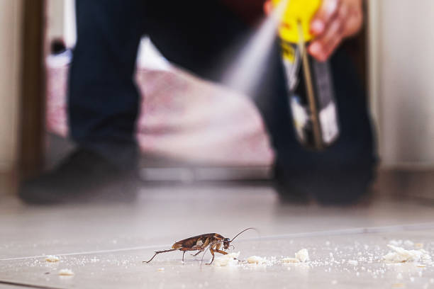 Best Flea Control Services  in Middleton, WI